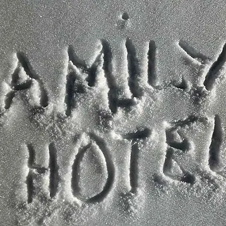Family 2*